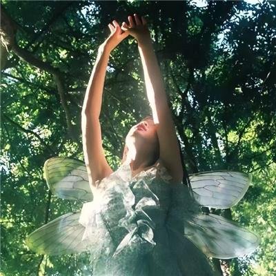 大戏法师张北传